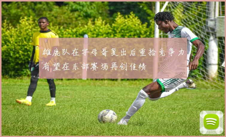 雄鹿队在字母哥复出后重拾竞争力有望在东部赛场再创佳绩