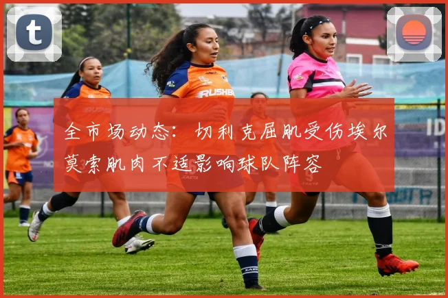 全市场动态：切利克屈肌受伤埃尔莫索肌肉不适影响球队阵容