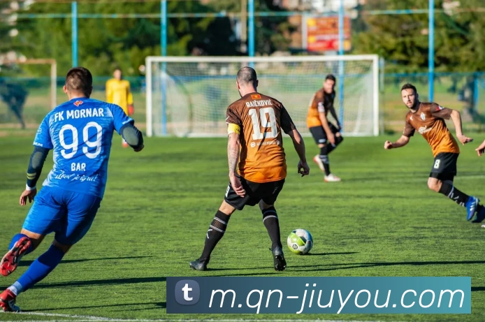 九游体育平台生态图