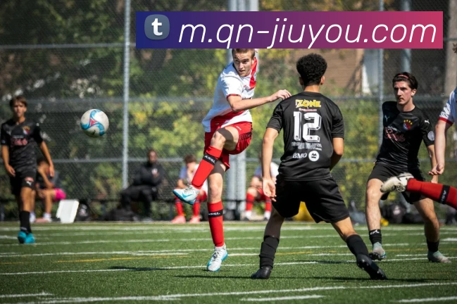 九游体育APP 封面图